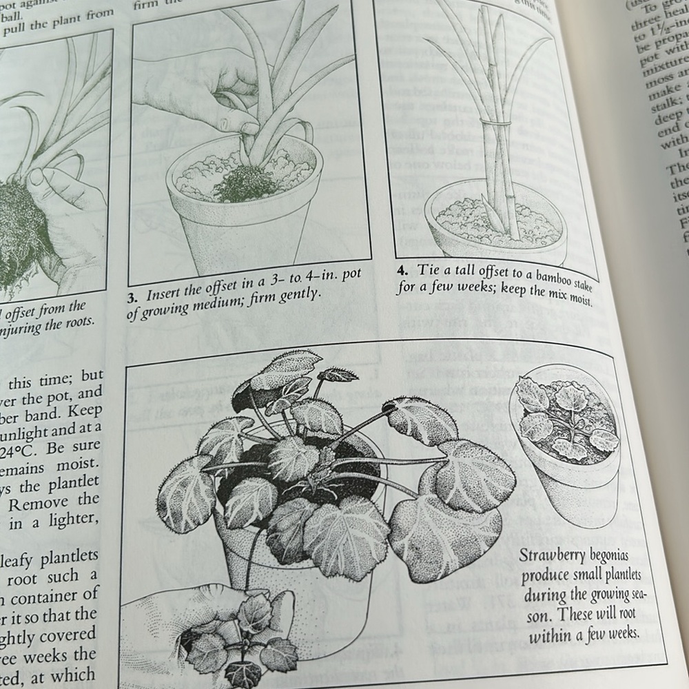 Vintage 1979 Reader's Digest Illustrated Guide to Gardening in Canada Book - Picture 10 of 16